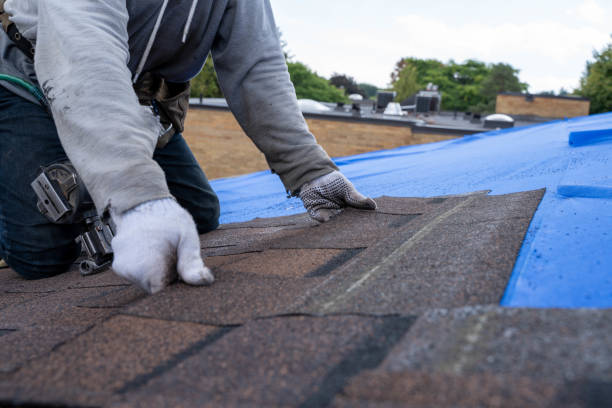 Best New Roof Installation  in Kingston, OK