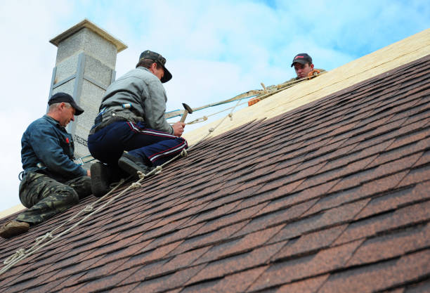 Best Metal Roofing Contractor  in Kingston, OK